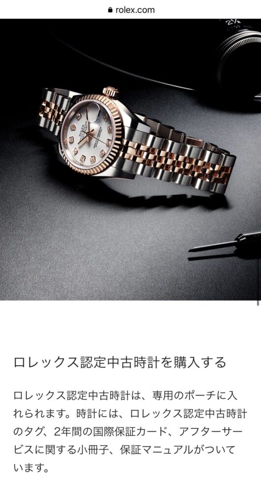ROLEXロレックス正規店 時計拭き腕時計クリーナー8枚セットレキシア - 時計